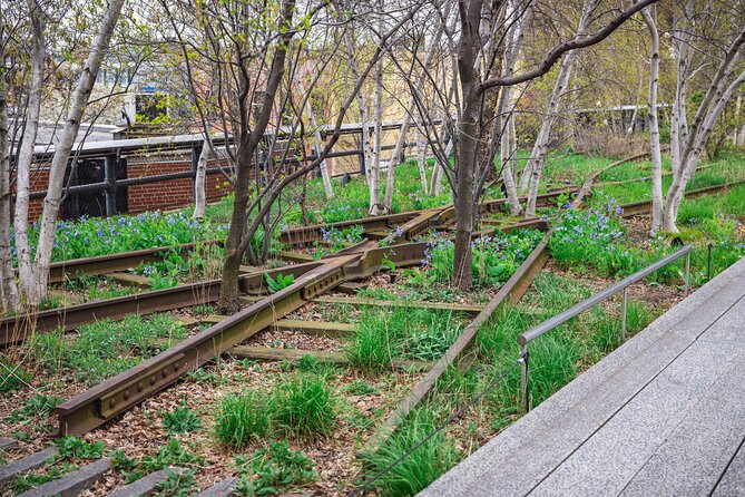 High Line and Chelsea Market 3 Hour Private Tour - Spending an hour inside Chelsea Market