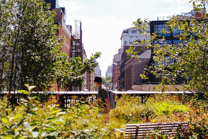 High Line and Chelsea Small Group Tour - Key points to know before booking