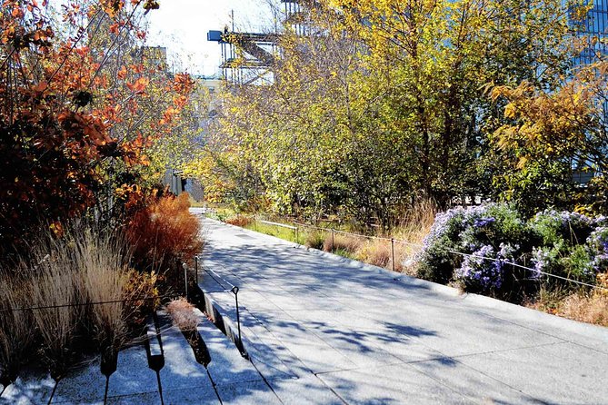 High Line and Chelsea Small Group Tour - Who should book this tour