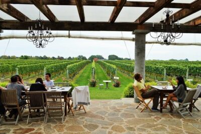 Long Island Winery Tour