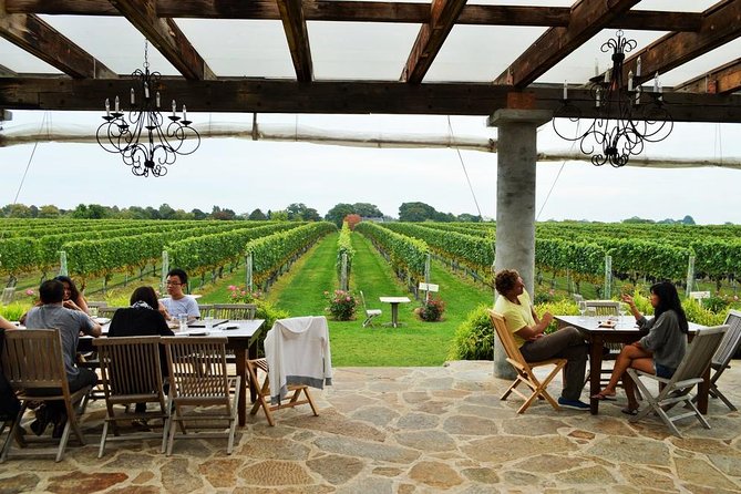 Long Island Winery Tour - Osprey’s Dominion Vineyards: lawn views and a relaxed first stop