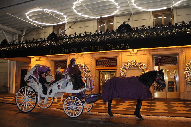 Magical Evening Horse-Drawn Carriage through NYC (65 min) - Sixth Avenue and the Avenue of the Americas
