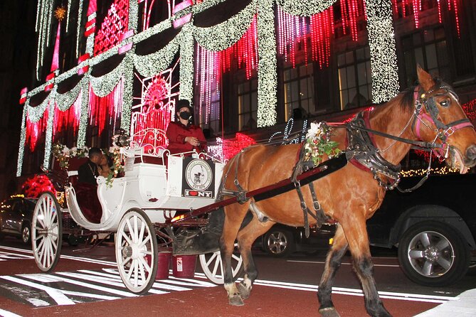 Magical Evening Horse-Drawn Carriage through NYC (65 min) - St. Patrick’s Cathedral from the carriage
