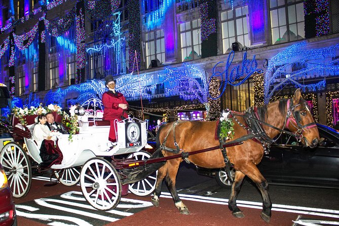 Magical Evening Horse-Drawn Carriage through NYC (65 min) - Guides, photos, and the human touch