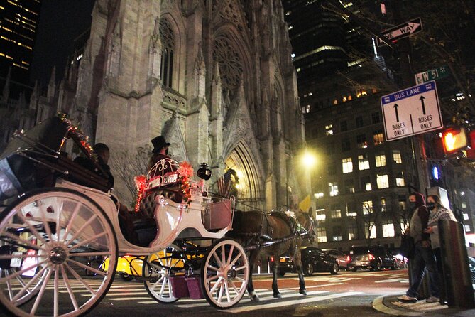 Magical Evening Horse-Drawn Carriage through NYC (65 min) - Fifth Avenue, Saks, and the luxury shopfronts