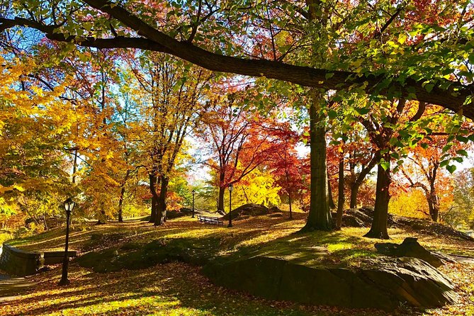 Manhattan Neighborhoods Bike Tour - Who will enjoy this ride most