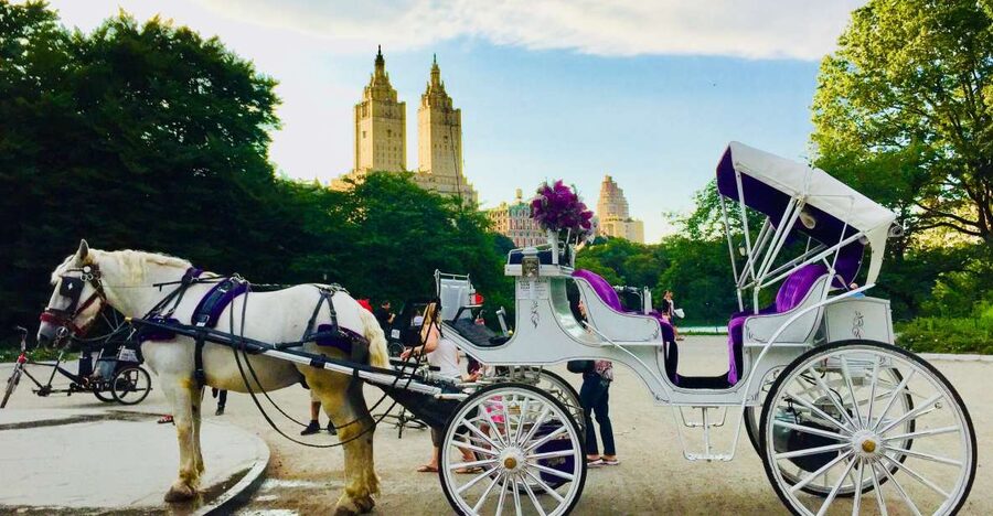 Manhattan: VIP Private Horse Carriage Ride in Central Park - Starting beside the José Martí statue