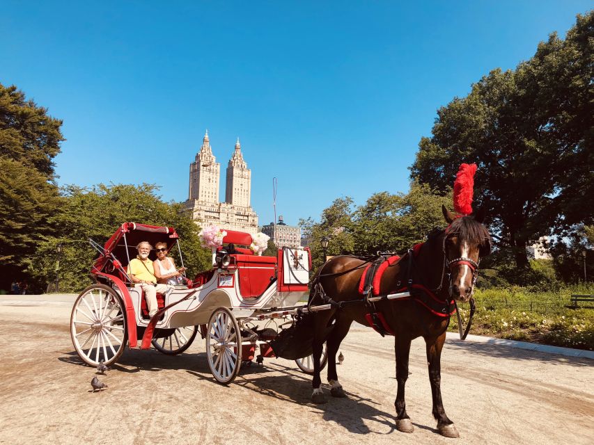 Manhattan: VIP Private Horse Carriage Ride in Central Park - Who should book this Central Park ride?