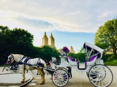 VIP Private Horse Carriage Ride in Central Park