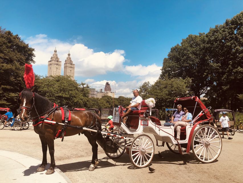 Manhattan: VIP Private Horse Carriage Ride in Central Park - What the comfort extras really add