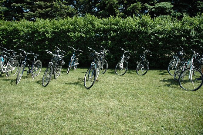 Mattituck Bike Wine Country and Fruit Orchard Tour - A guide, a support van, and photos that matter