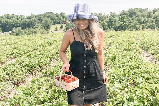 Mattituck Bike Wine Country and Fruit Orchard Tour - What the $141.99 price really covers