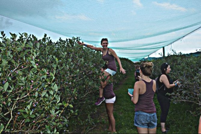 Mattituck Bike Wine Country and Fruit Orchard Tour - Who will enjoy this tour most
