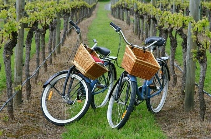 Mattituck New York Guided Farm and Wine Country Bike Tour - What the $139.99 price includes