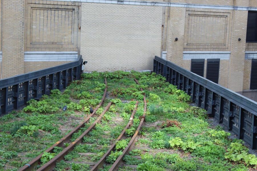 Meatpacking District: Chelsea Market and The Highline Tour - Should you book the Chelsea Market and High Line tour?