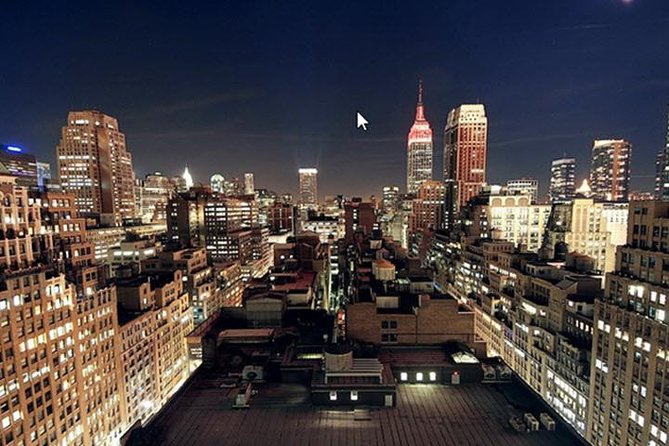 New York by Minivan Private Tour - Why the panoramic minivan matters
