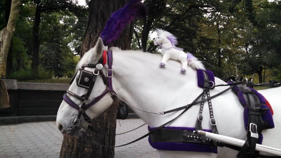 New York: Carriage Ride in Central Park - Strawberry Fields and movie locations