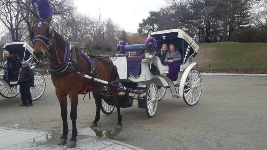 New York: Carriage Ride in Central Park - Wollman Rink, the Carousel, and other landmarks