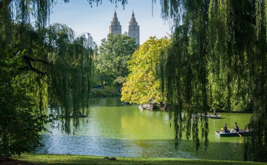 New York: Carriage Ride in Central Park - What the $159 price buys you