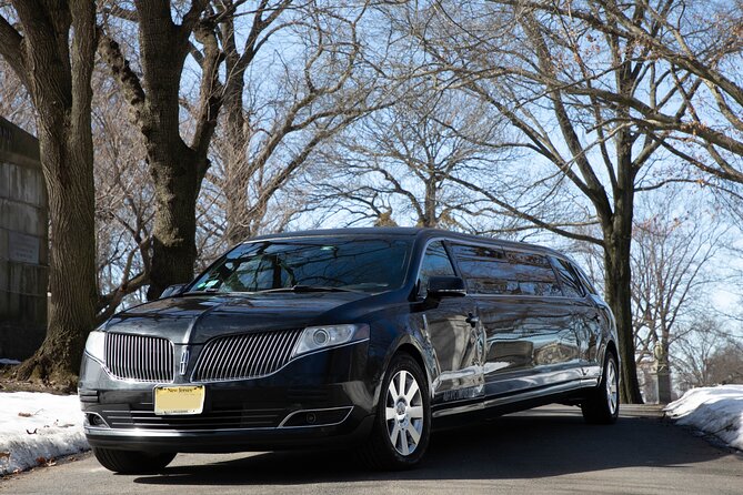 New York City Airport Arrival Transfer by Limo LGA JFK EWR - Luggage, group size, and cruise port use