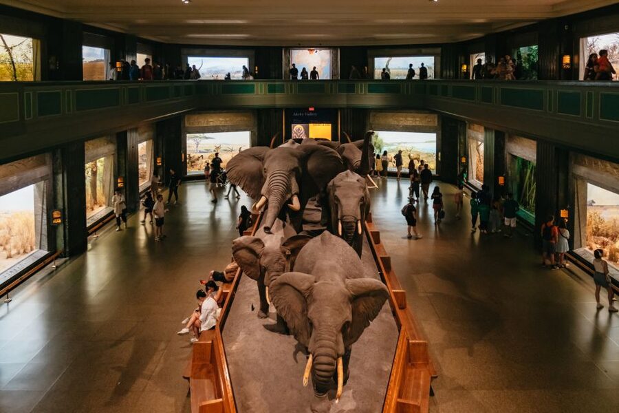 New York City: American Museum of Natural History Ticket - Key points to know before you go