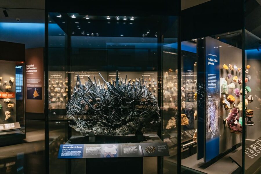 New York City: American Museum of Natural History Ticket - The new Gilder Center brings science into the present