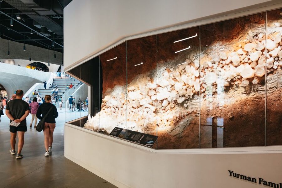 New York City: American Museum of Natural History Ticket - Ticketed exhibits and how to choose them
