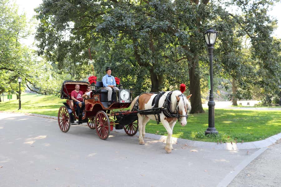 New York City: Central Park Horse Carriage 25-min Ride - Why a carriage is a different way to see Central Park