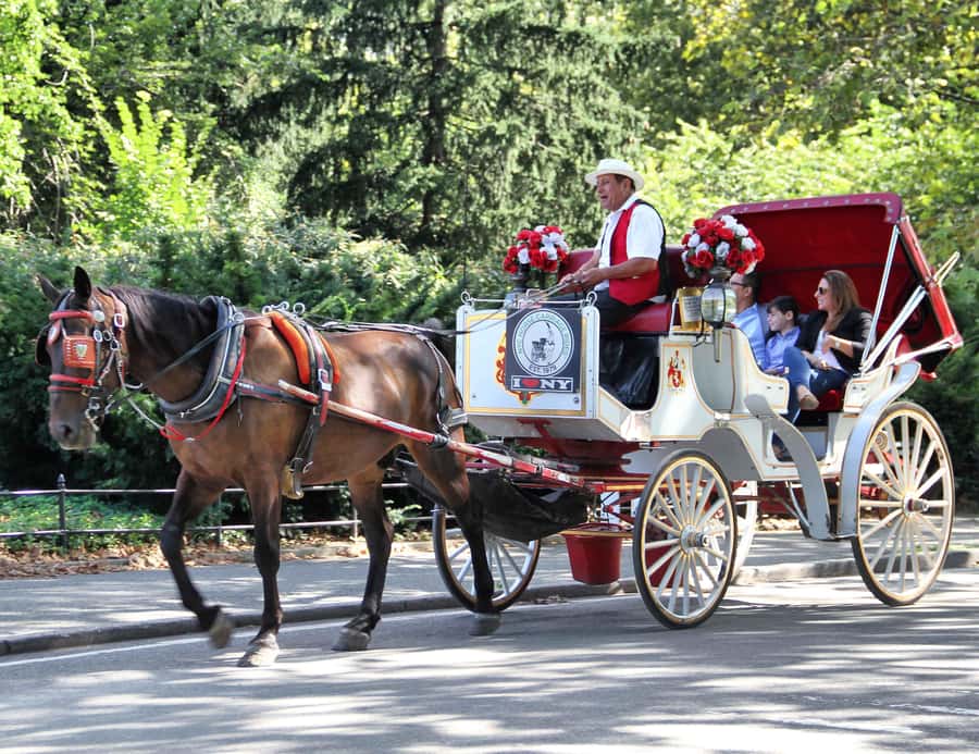 New York City: Central Park Horse Carriage 25-min Ride - Wollman Rink and the park’s southern entrance