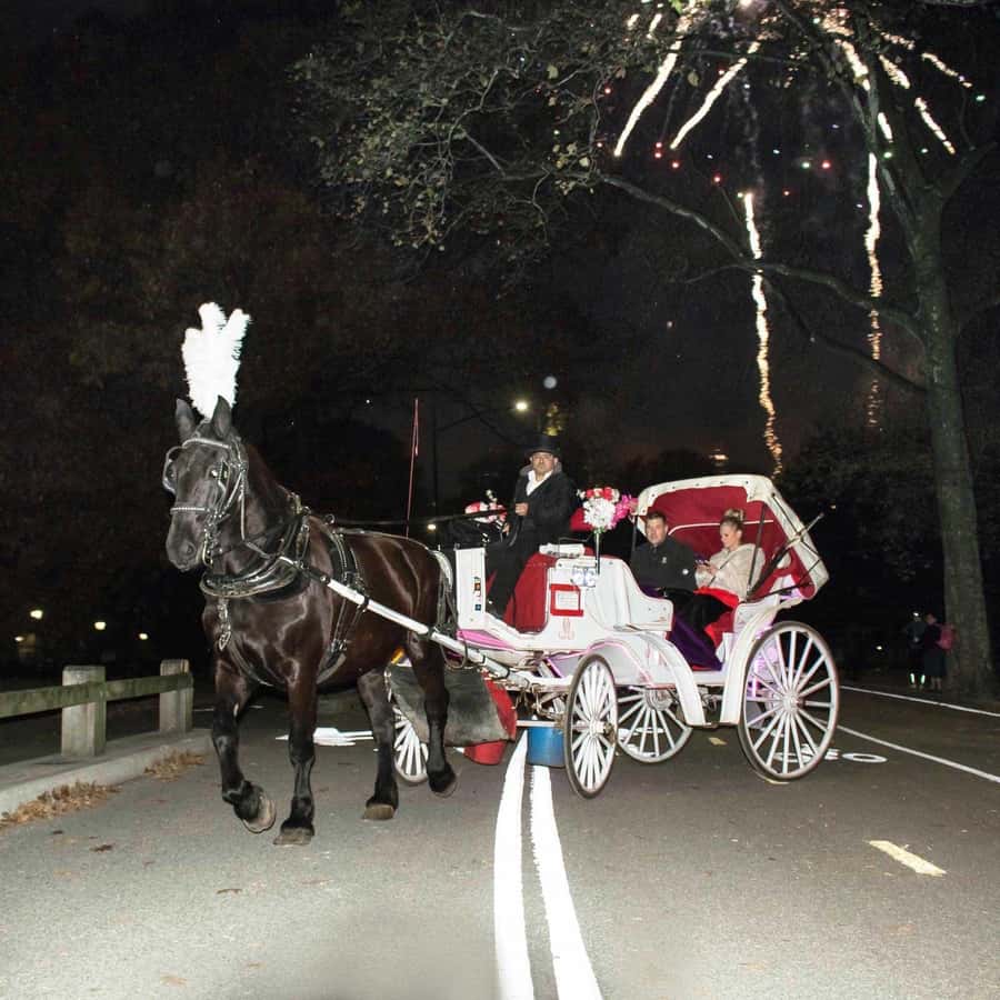 New York City: Central Park Horse Carriage 25-min Ride - The Central Park Zoo and The Pond