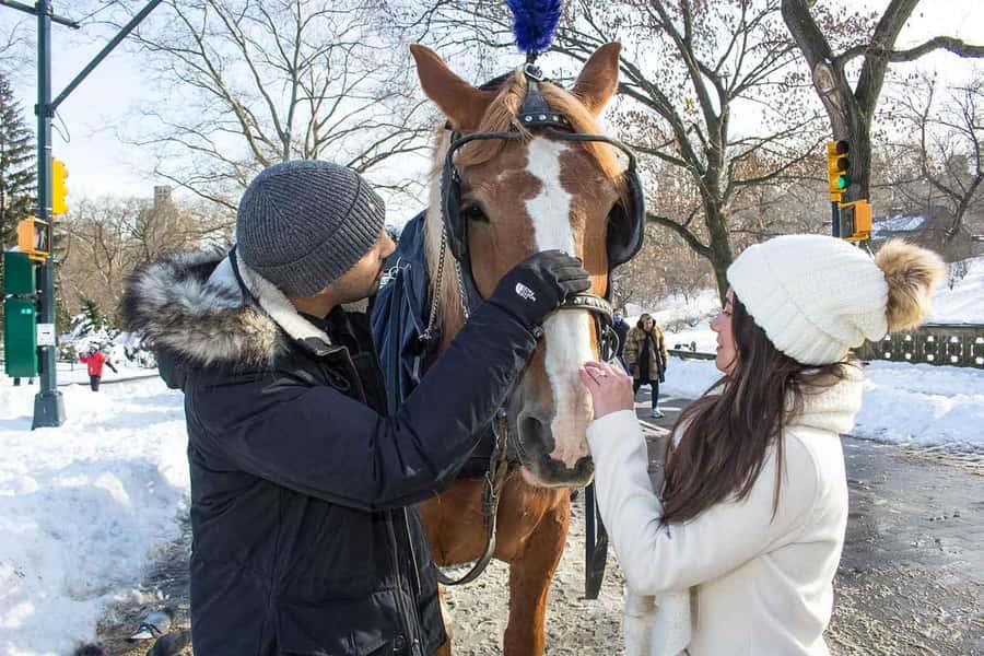 New York City: Central Park Horse Carriage 25-min Ride - A look toward the Plaza Hotel