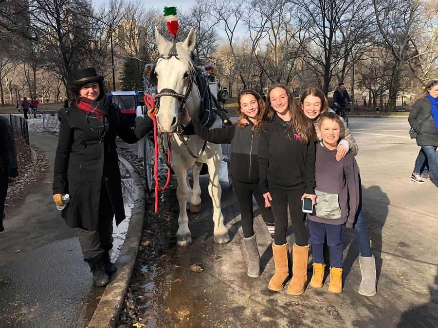 New York City: Central Park Horse Carriage 25-min Ride - Is $75 good value for your group?