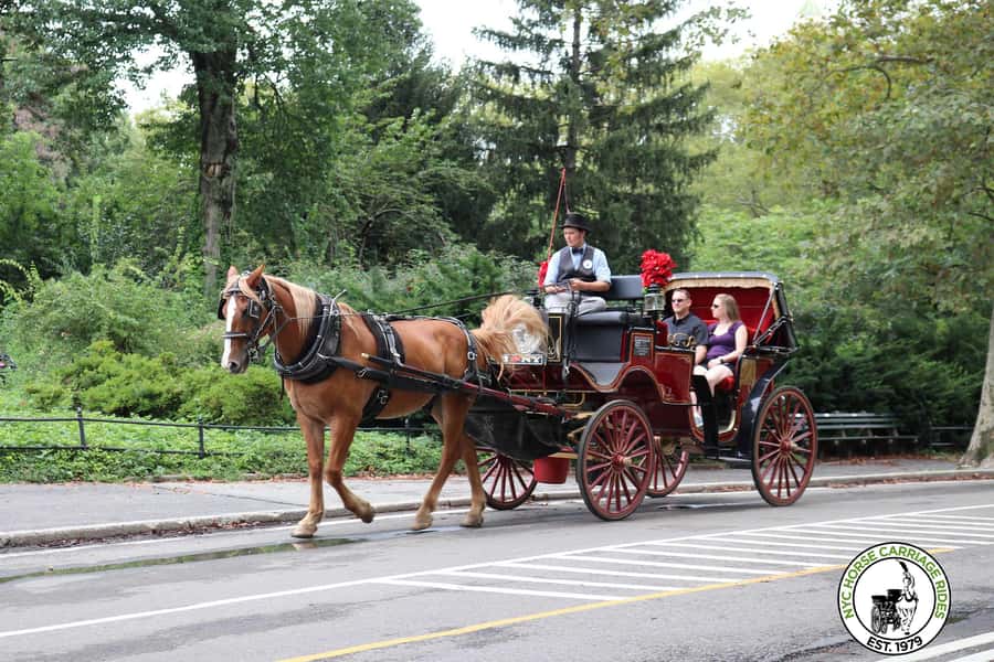 New York City: Central Park Horse Carriage 25-min Ride - Meeting the carriage on West Drive