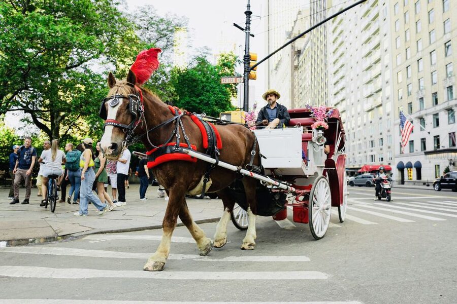 New York City: Central Park Private Horse and Carriage Tour - Key details before you book