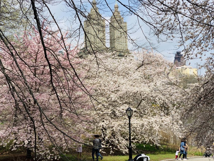 New York City: Central Park Private Horse and Carriage Tour - San Remo and Strawberry Fields