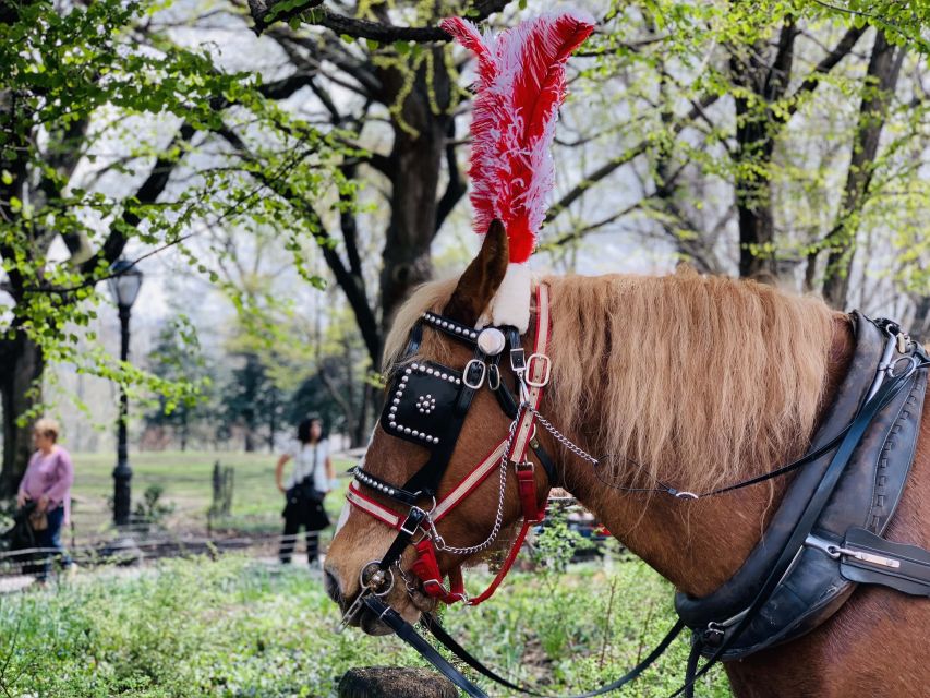 New York City: Central Park Private Horse and Carriage Tour - Tavern on the Green and the return south