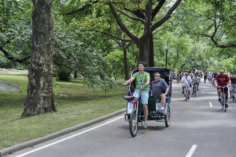 New York City: Central Park Private Pedicab Tour - Comfort, weather, and walking limits