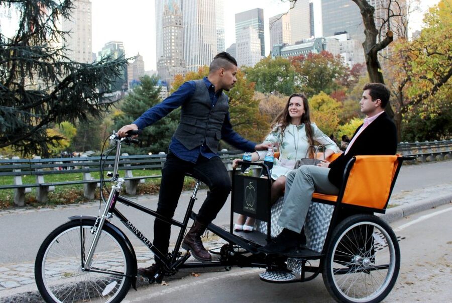 New York City: Central Park Tour by Pedicab - What the guide adds beyond transportation