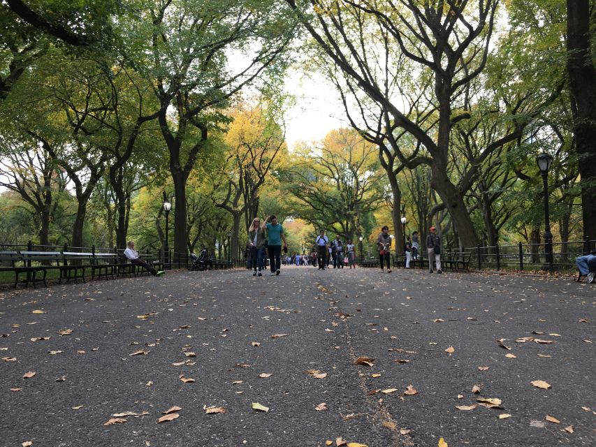 New York City: Central Park Tour by Pedicab - Weather, comfort, and what to wear