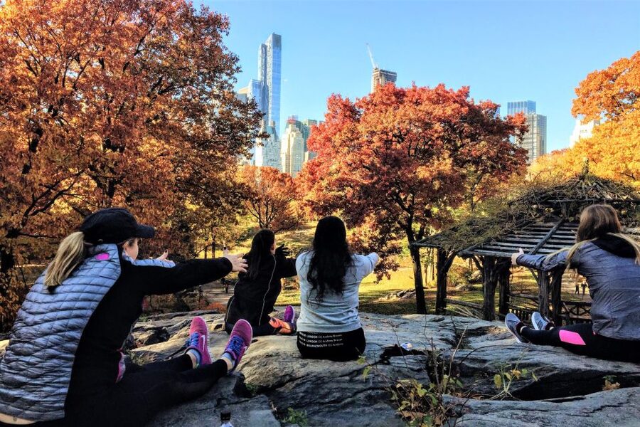 New York City: Central Park Yoga and Walking Tour - Key points to know before you book