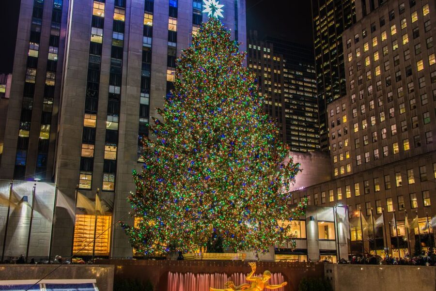 New York City: Christmas Holiday Tour of Manhattan - Macy’s provides a grand finish