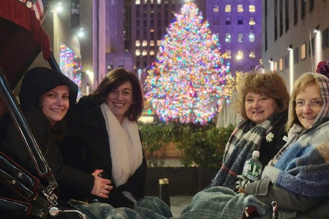 New York City Christmas Lights Private Horse Carriage Ride - Why this carriage ride works at Christmas