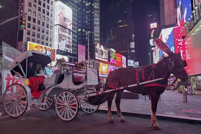 New York City Christmas Lights Private Horse Carriage Ride - Rockefeller Center and the Christmas tree