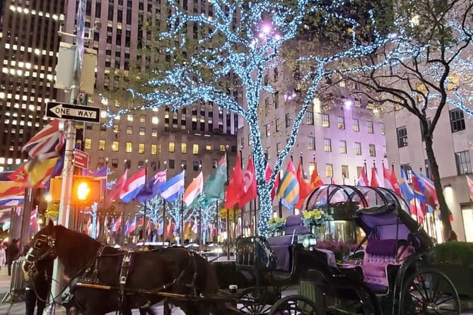 New York City Christmas Lights Private Horse Carriage Ride - The Saks Fifth Avenue light show