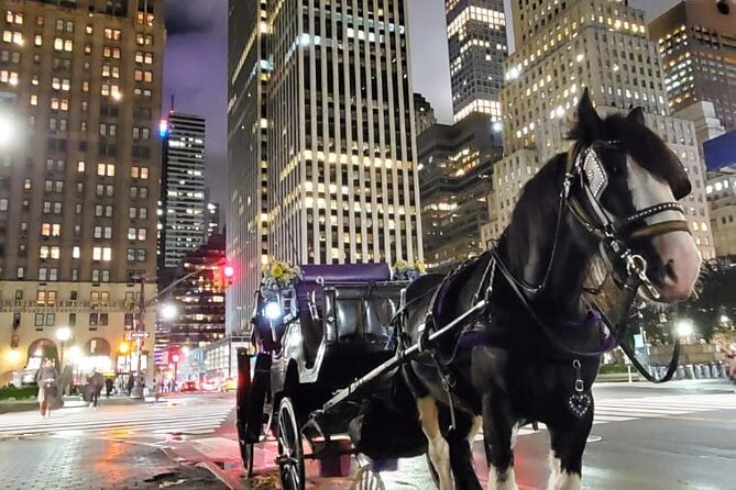 New York City Christmas Lights Private Horse Carriage Ride - What the carriage itself is like
