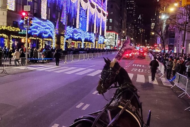 New York City Christmas Lights Private Horse Carriage Ride - How much value do you get for $220?