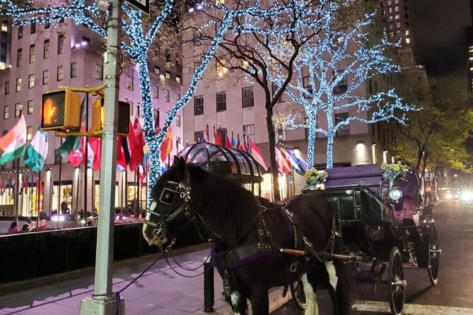 New York City Christmas Lights Private Horse Carriage Ride - The guides make the biggest difference