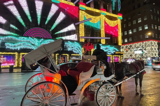 New York City Christmas Lights Private Horse Carriage Ride - Starting at Central Park South and 7th Avenue