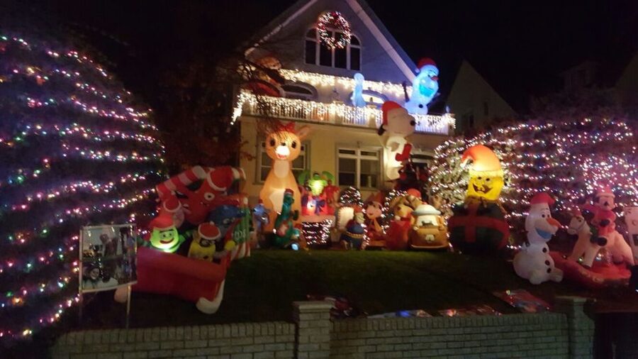 New York City: Dyker Heights Christmas Lights Tour - Should you book the Dyker Heights Christmas Lights Tour?