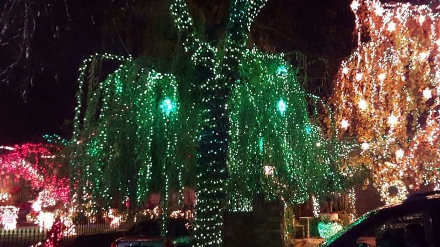 New York City: Dyker Heights Christmas Lights Tour - Why Dyker Heights is worth the ride